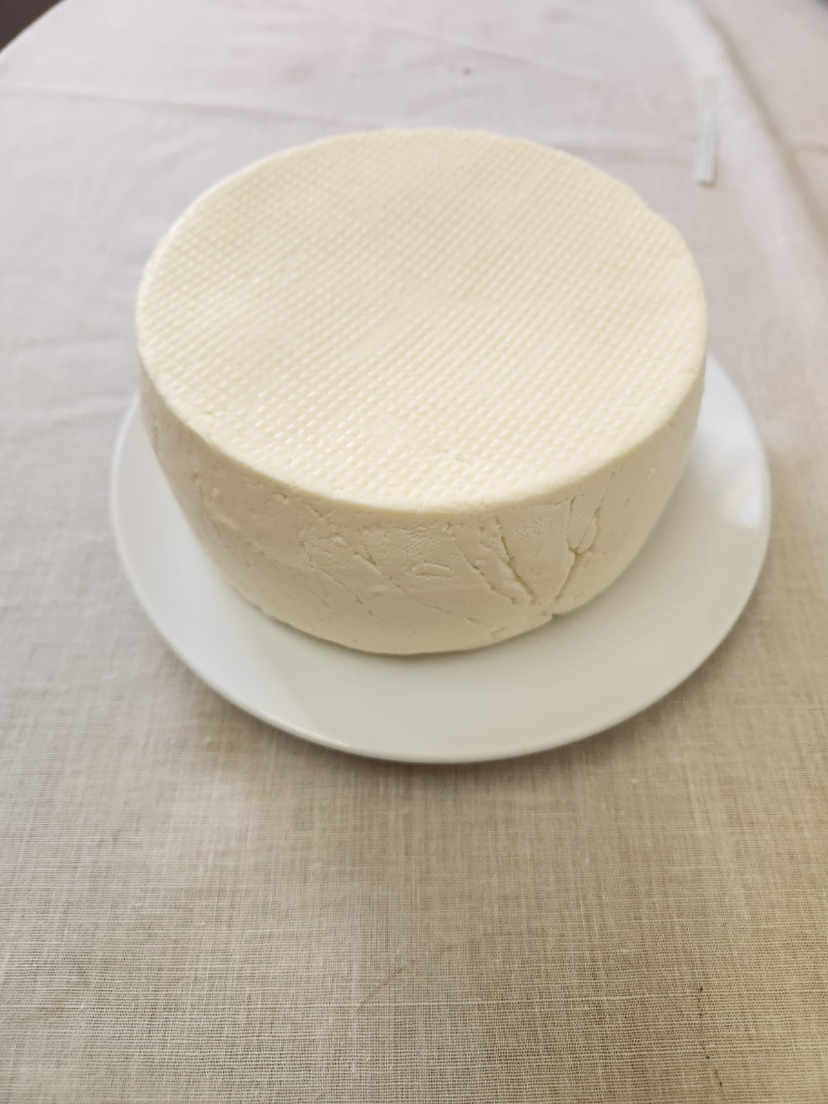 Workshop de Queijo Minas, Pão de Queijo e Ricota - Marrickville